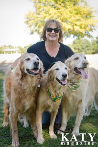 Golden beginnings retriever store rescue